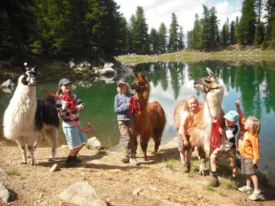 Am Zirmtaler See